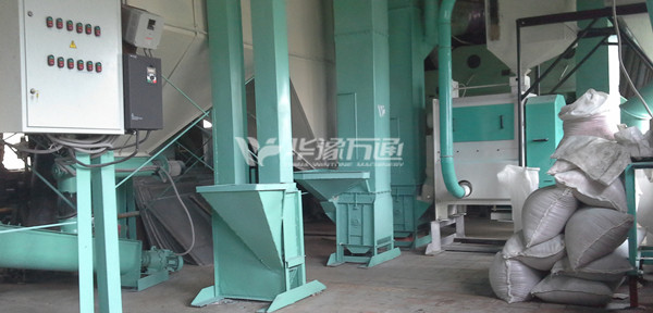 Russia 2TPH Lentil Peeling Line Installation