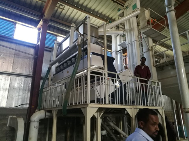 ጤፍ Teff Hulling Machine